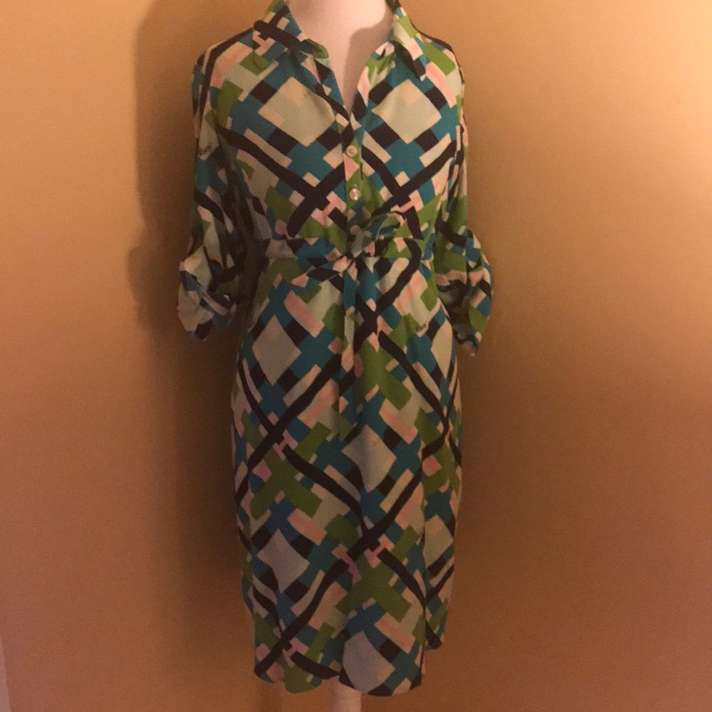 EUC button up Lilly dress